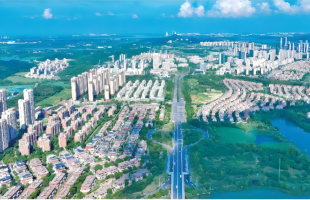 人民论坛：调研越是走深，政绩越会向实  