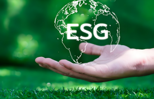 生态环境部召开支持民营企业绿色低碳发展座谈会 