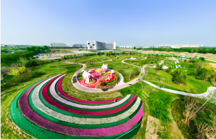 山东德州：文旅热助推文化资源焕发新光彩 