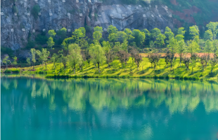 2025年全国生态旅游接待游客量超30亿人次