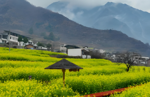 春风为何会送暖？    