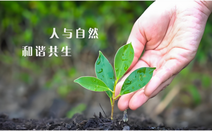 迈向人与自然和谐共生的现代化的法治里程碑