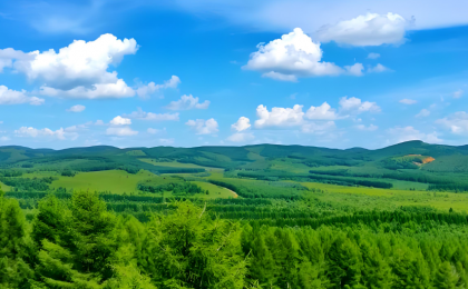 在雄安，有群塞罕坝的造林人 