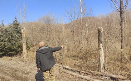 承包荒山种好树  林权受损无说法