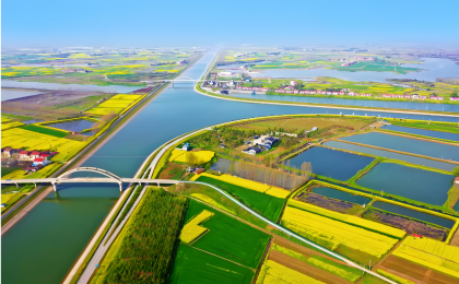 湖北沙洋：全域土地整治让“一处美”变“一片美”    