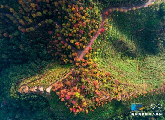 11767001916721283443.jpg 11767001916721283443.jpg