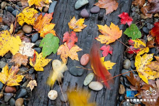 15322584450244482548.jpg 15322584450244482548.jpg