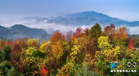 7545322516436896985.jpg 7545322516436896985.jpg