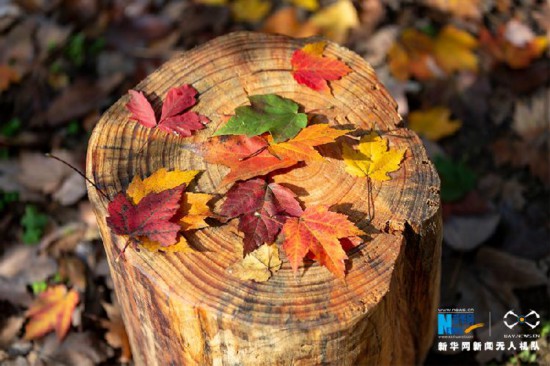 3136309128262845153.jpg 3136309128262845153.jpg