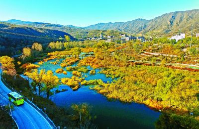 4218855296757724180.jpg 4218855296757724180.jpg