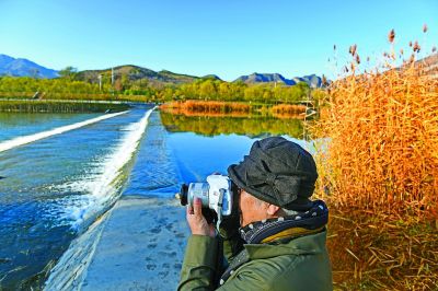 9265142326340735658.jpg 9265142326340735658.jpg