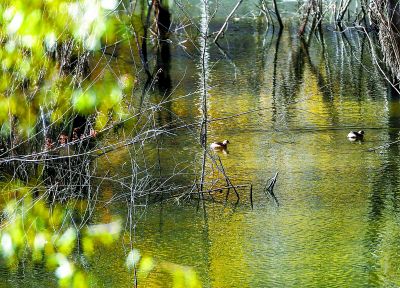 13084836838433532407.jpg 13084836838433532407.jpg