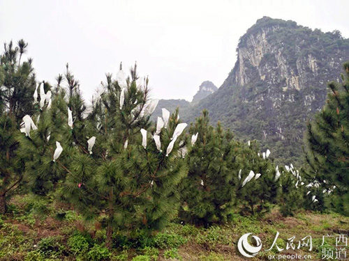 微信图片_20191129141204.jpg 微信图片_20191129141204.jpg