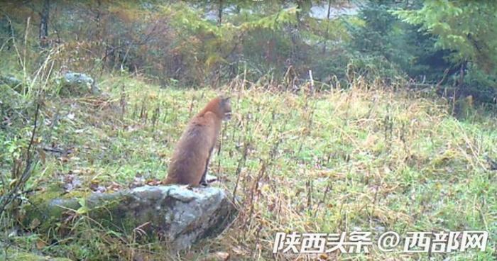 20191211154248181562020_1.jpg 20191211154248181562020_1.jpg