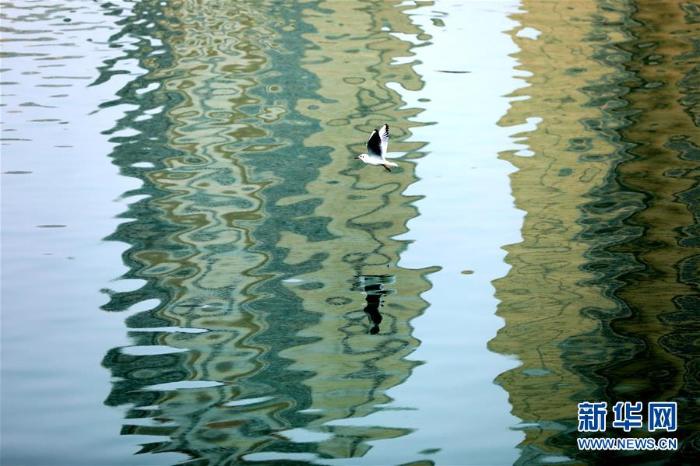 20200114164848112598784_1.jpg 20200114164848112598784_1.jpg