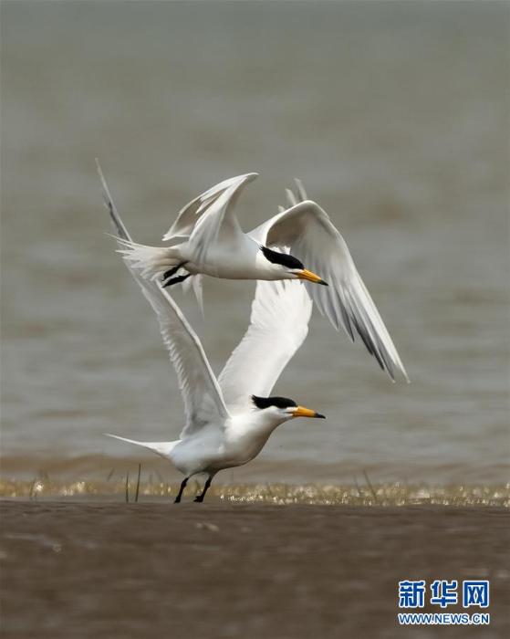 20200512180631888566180_1.jpg 20200512180631888566180_1.jpg