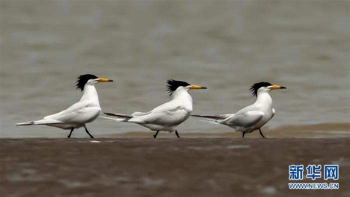 20200512180650140114154_1.jpg 20200512180650140114154_1.jpg