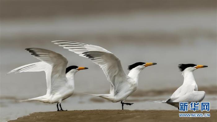 20200512180700312948248_1.jpg 20200512180700312948248_1.jpg