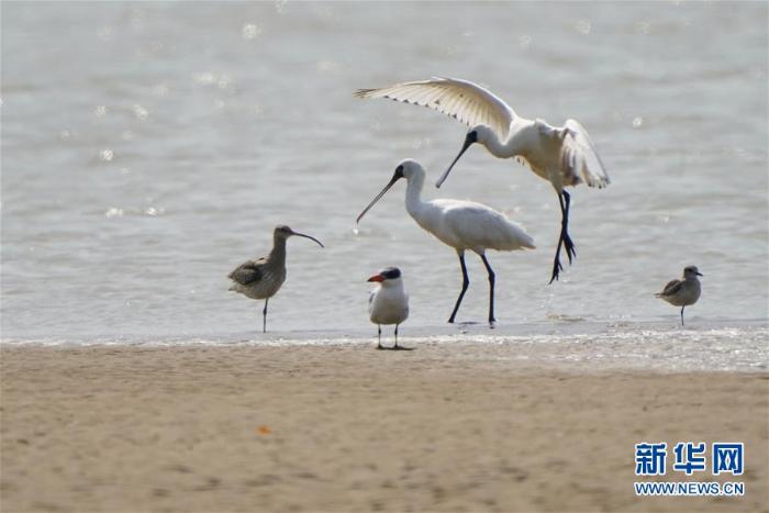 20200512180709188181670_1.jpg 20200512180709188181670_1.jpg