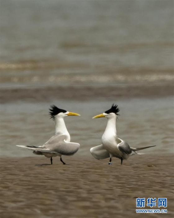 20200512180746988868616_1.jpg 20200512180746988868616_1.jpg