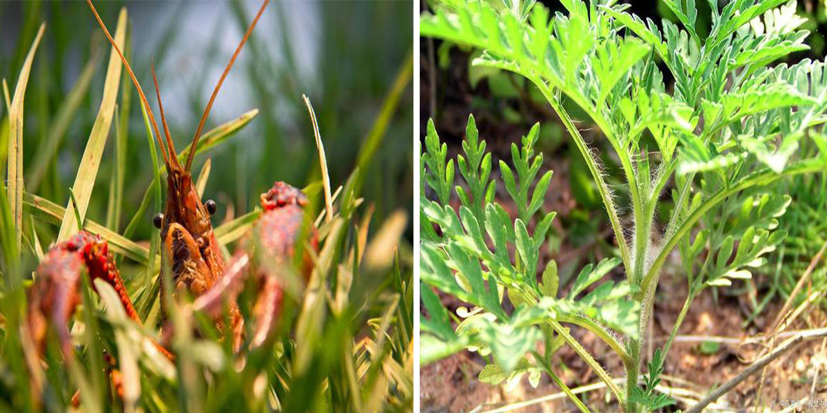 微信图片_20200603214957.jpg 微信图片_20200603214957.jpg