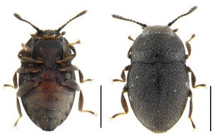 微信图片_20200701160925.jpg 微信图片_20200701160925.jpg