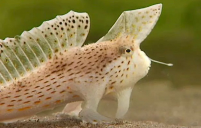 微信图片_20200721203400.png 微信图片_20200721203400.png