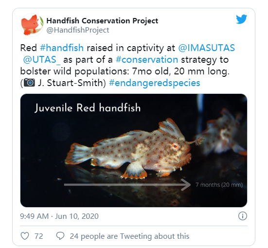 微信图片_20200721203410.png 微信图片_20200721203410.png