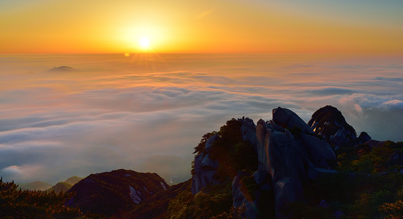 MAIN202101181119000017918093698.png MAIN202101181119000017918093698.png