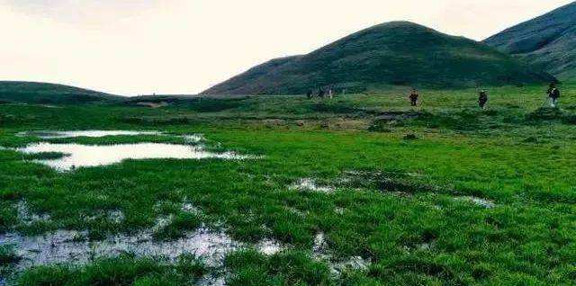 草原公园1.jpg 草原公园1.jpg