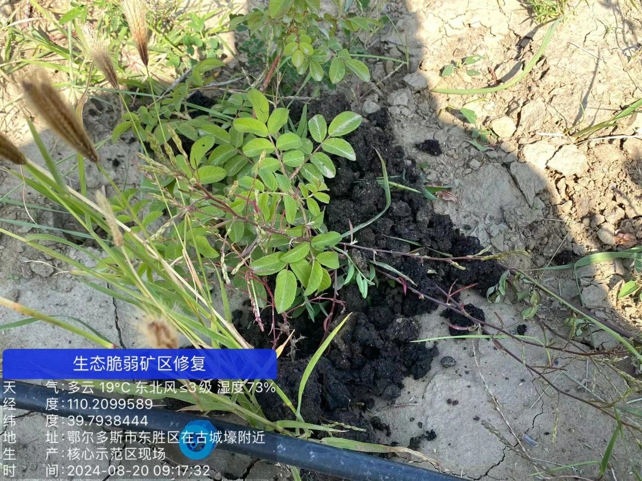 1747711393751217.jpg 1747711393751217.jpg