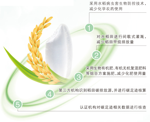 1766380426718557.jpg 低碳种植水稻流程示意图.jpg