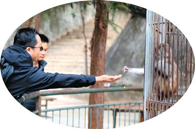 1767598269464927.jpg 游客与猴子互动。.jpg