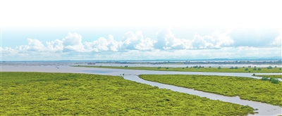 （本报记者 韩 鑫）.jpg