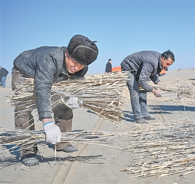 1768811847146508.jpg 墨玉县喀瓦克乡周边沙漠,当地农.jpg