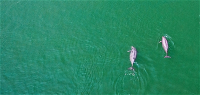 1768892450605860.jpg 在湖北宜昌市.jpg