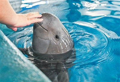 1768892458164153.jpg 中国科学院水生生物研究所长江江.jpg