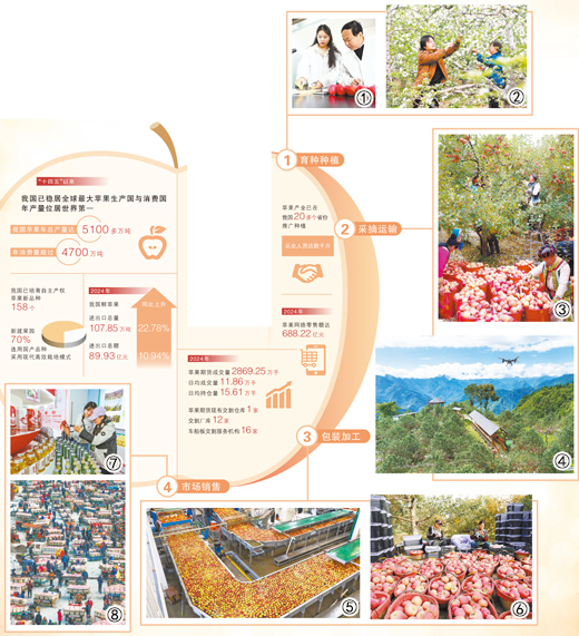 1772175396811288.jpg 1234.jpg