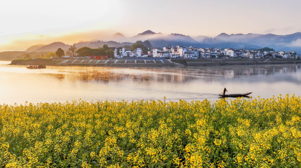 1773401254784010.jpg 作者:新华社.jpg