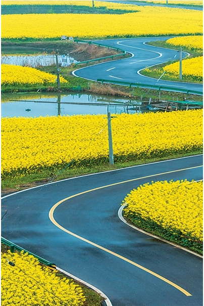 1774341738942623.png 3月16日,安.png