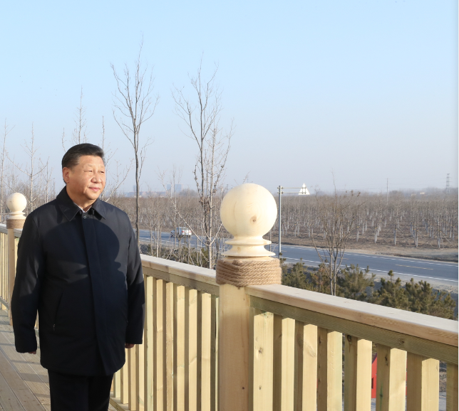 2019年1月16日，习近平总书记在河北雄安新.png