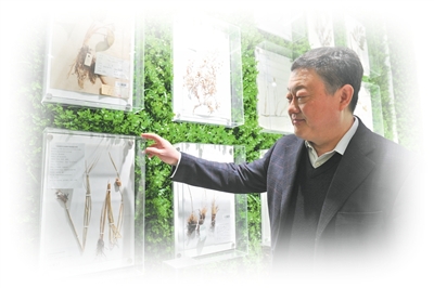 1776063440150387.jpg 姜明在介绍采自黑土地的植物标本。.jpg