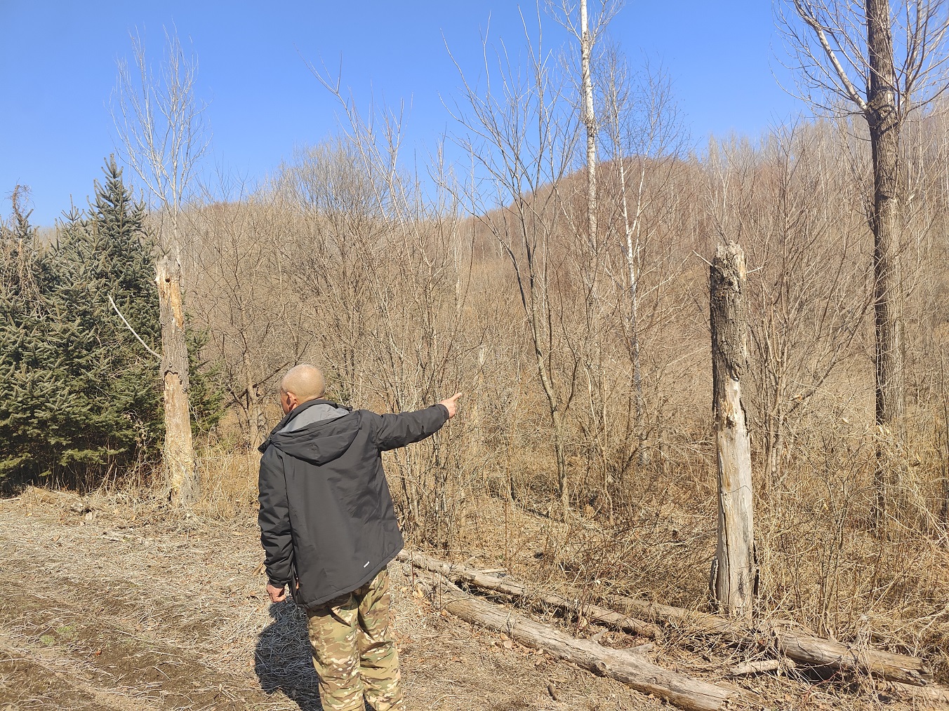 1776063875141045.jpeg “当年我们4家人为付这8万多承包费,可太难了。”.jpeg